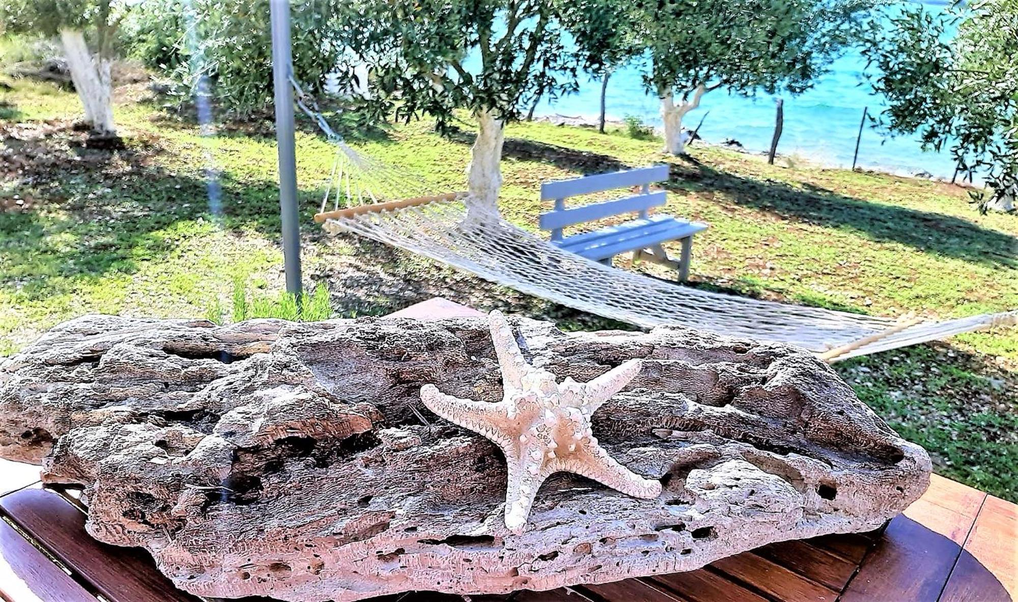 Arte Mare D'irene Spárton