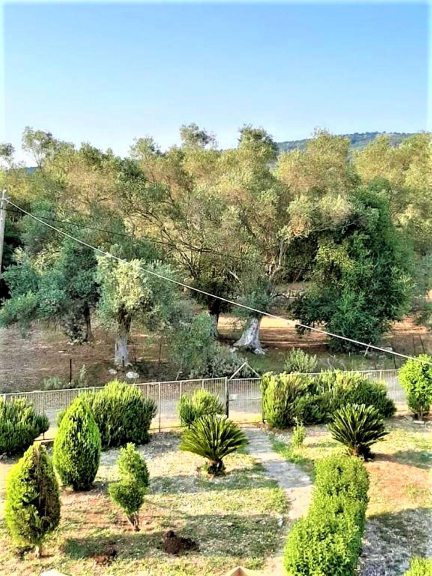 Arte Mare D'irene Apartment *